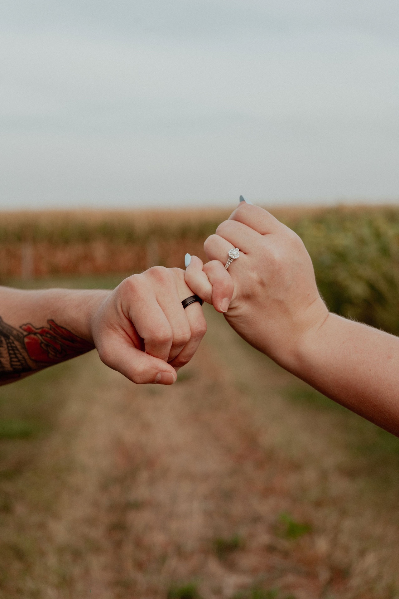 Engagement rings in cornfield